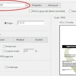 Graphic showing settings for print to pdf